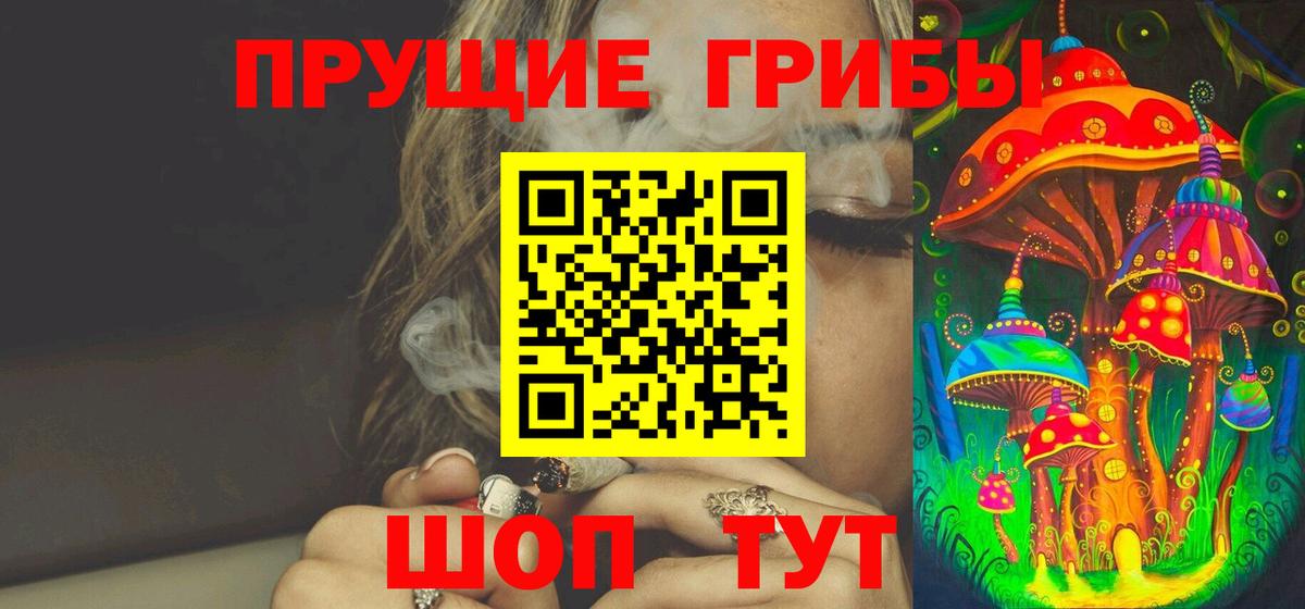 Галлюциногенные грибы Psilocybine cubensis  Вход с VPN  Камышлов 